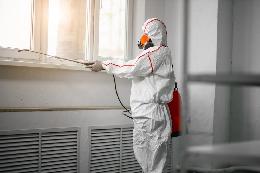 Professional mold remediation services in Kenyon, RI